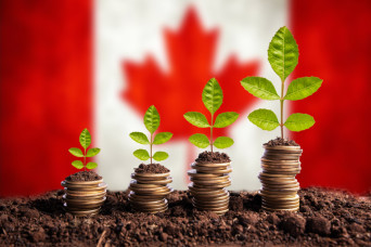 RBC Macroeconomic Outlook